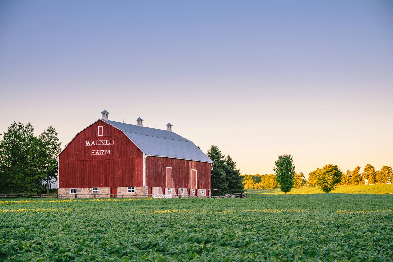 Walnut Farm surrounded by green grass